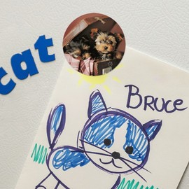 Yorkie Yorkshire Terrier Dogs Puppies in Briefcase Suitcase Refrigerator Fridge Locker Vinyl Circle Magnet Set