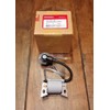 Ignition Coil EB2200IT EU2200IT 30500-Z44-A01,Replacement for HONDA OEM
