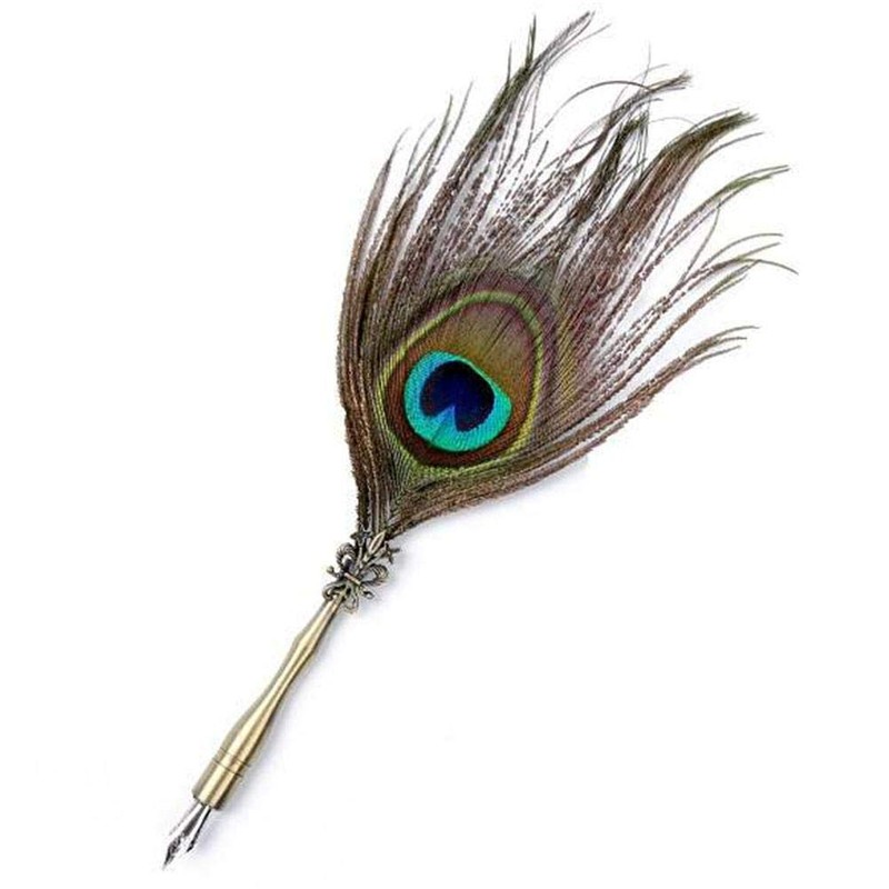 Vikye Peacock Feather Dip Pen with Writing Ink Retro Calligraphy