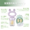 Haakaa Baby Fruit Food Feeder & Mini Freezable Tray Combo