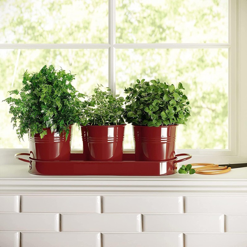 MoFarbe Herb Pots for Kitchen & Windowsill | Kitchen Herb
