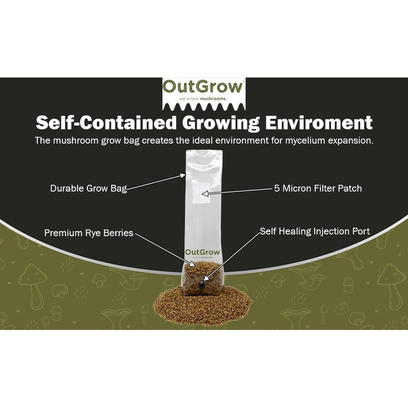 Mushroom Grow Kit (Quick Kit)