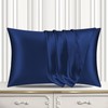 Pamposh Satin Silk Pillowcases For Hair And Skin 2 Pack