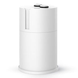 iSpring FDFGB1 Water Tap Filter Replacement for DFGB1