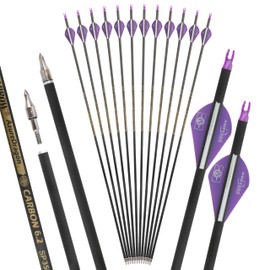 wolfman 31" Pure Carbon Arrows Archery Practice Hunting Arrows Spine 300 350 400 500 600 with Removable Tips Targeting Arrows for Compound & Recurve & Long Bow 6/12pcs (12, Purple, Spine 300)