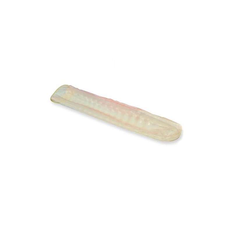 GIMA 50 x Disposable Latex Probe Cover for Ultrasound /