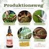 Celandine Aromatherapy Tincture 100 ml | Chelidonium Majus Drops (1:4
