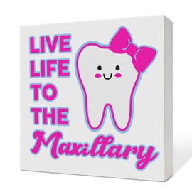 Dentist Gifts for Women Men Doctor, Gifts for Dentists Dental Assistant Student, Dental School Graduation Hygienist Gifts, Dental Decorations for Office Room Desk, Dental Office Desk Decor, Maxillary