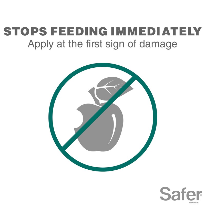 Safer Brand Caterpillar Killer II Concentrate - OMRI Listed for