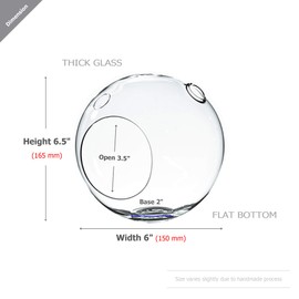 WGV Planter Terrarium, Width 6" Height 6.5", Clear Globe Glass Vase Container Orb with Two Side Opening, DIY Air Planter, Votive Candle Holder for Decor, 1 Piece