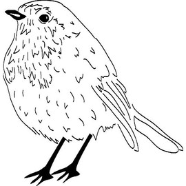 'Robin' Rubber Stamp - Unmounted Design for Crafting & Scrapbooking, A8 (RS00015374)