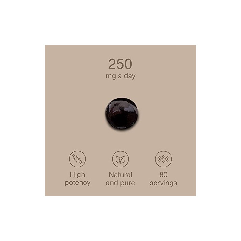 Pure Shilajit Resin 20 Grams- Purified & Natural - 80