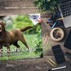 2024 2025 Labrador Chocolate Calendar - Dog Breed Monthly Wall