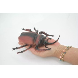 Unbranded Rhinoceros Horned Stag Beetle Rubber Insect Toy Realistic Figurine 7" ABC06 B262