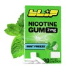 Blip NRT Nicotine Gum - 2mg Mint Freeze Flavor (20