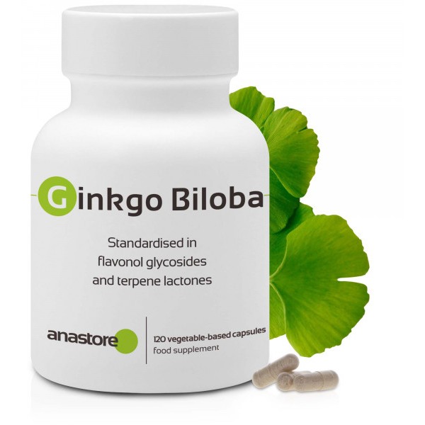 ginkgo-biloba-herbal-supplement-that-contributes-to-mental-and-cognitive-activities 01.jpg