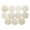 Wooden 3D Monthly Milestone Discs for Baby Photos (20 pcs