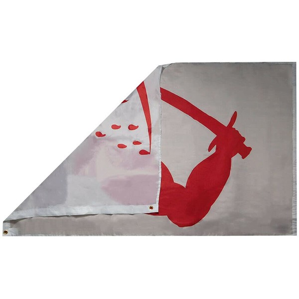 Dimmitt's Goliad Texas Independence Flag 3' x 5'