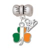 Delight Jewelry Silvertone Irish Flag Shamrock - Silver-tone Bow Charm