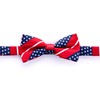 Fabrique Innovations Trump 2024 Bow Tie