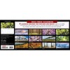 Trees 2023 Panoramic Wall Calendar