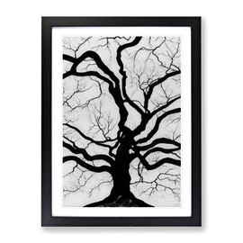 Monochrome Tree Art No.3 Framed Print for Living Room Bedroom Home Office Décor, Wall Art Picture Ready to Hang, Black A4 Frame (34 x 25 cm)