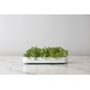 Chef'n Microgreens Micro Greens Grower,White