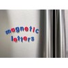 Teacher Created Resources 20623 Magnetic Foam: Small Lowercase Letters