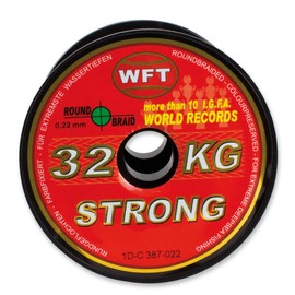 WFT Target Fish Pike 250 m 12.5 kg 0.40