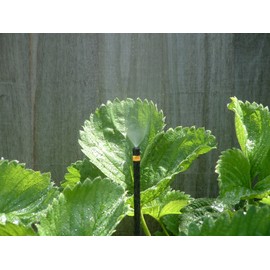 Antelco Winged Micro Winged Mister/Jet, Micro Irrigation. Pack of 20, Free Postage