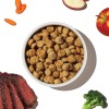 The Honest Kitchen Whole Food Clusters Grain Free Beef Dry