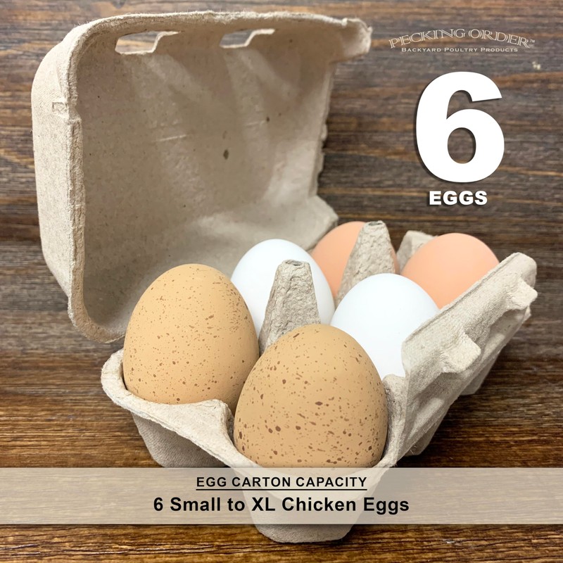 6-Egg Paper Egg Cartons - 24 Pack
