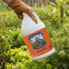 Neptune’s Harvest Organic Crab & Lobster Shell Multi-Purpose Liquid Fertilizer