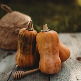 Honeynut Squash - 25 Seeds - Mini Butternut Squash Variety, Non-GMO, Heirloom Baby Butternut Squash Seeds for Planting in The Home Garden, Thresh Seed Company