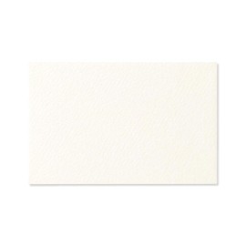 G.C.PRESS Pearl White Mini Message Card Envelopes [5 / 62 x 96 mm] Message Card Simple (Thank You, Multi-Purpose, Celebration)