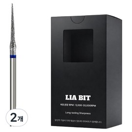 BESSIE Leabit diamond edge XF nail bit, 2 pieces, silver / BESSIE 리아비트 다이아 엣지 XF 네일비트, 2개, 실버