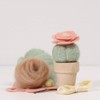 Needle Felting Cactus Kit -Desert Rose