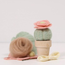 Needle Felting Cactus Kit -Desert Rose