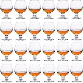 Srgeilzati Snifters Shot Glasses Set of 24 Cute Brandy Cognac Glasses (100ml | 3.5 floz)