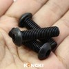 (60 Pieces) M4 x 45 mm Rounded Head Screws with