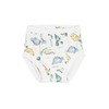 Under the Nile Organic Cotton Potty Training Pants, Dino. 12-24