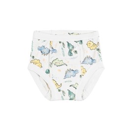 Under the Nile Organic Cotton Potty Training Pants, Dino. 12-24 Months