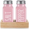Pink Salt and Pepper Shakers Set with Holder - Pink