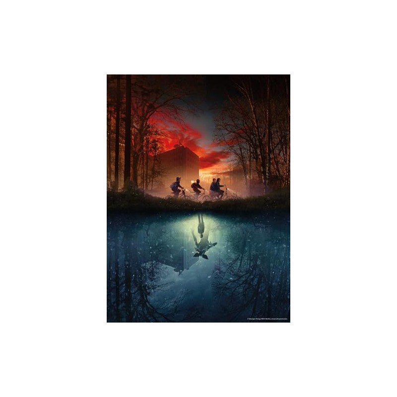 Buffalo Games Silver: Missing Friend Puzzle de 1000 Piezas
