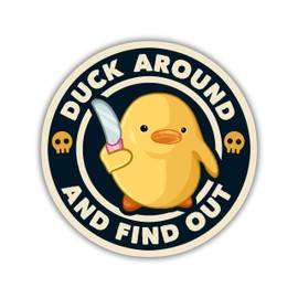 314PI (3pcs) Duck Around and Find Out Stickers, Water Assistant Stickers, Sarcastic Decal, Kindle Stickers for Laptop Phone Cases Water Bottles, Gifts for Boys Girls, Cute Duck Stickers (Size 3")