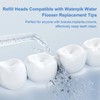 2Pcs Replacement Classic Jet Tips,Refill Heads Compatible with Waterpik Water