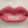 LIPSENSE SeneGence SEALED Lip Colors (2 PACK)- Honey Rose &