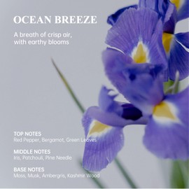 Atom Fresh Natural Whole Body Deodorant Cream – 72H Long-Lasting Odor Control – Aluminum-Free, Baking Soda-Free – With Amino Acids & Probiotics – Fast-Absorbing, No Residue – Ocean Breeze – 3.5 oz