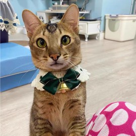 IDOLPET Christmas Cat Dog Collar with Bowtie Bell Handmade Knitting Christmas Holiday Cat Pet Bandana Collar Necktie Costume Outfit for Cat Kitten Puppy Small Dog Rabbit. (Green, L)