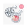 Choose 1 of 4 types of Bloom Mix Blush Compact